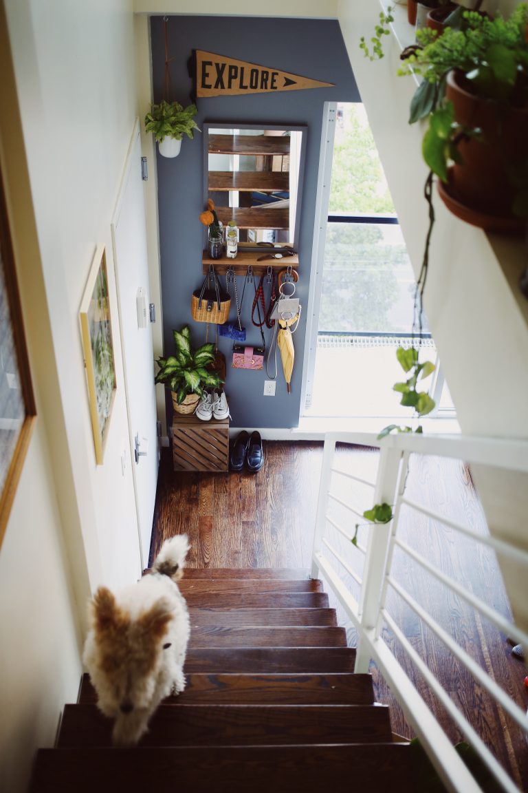 How to create an entryway when you don't have one Noelle's Favorite